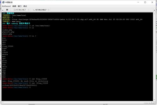 CTFHub RCE之eval执行与文件包含漏洞深度剖析